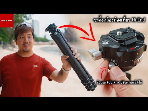 รีวิวFalcamTreeRootTripod|