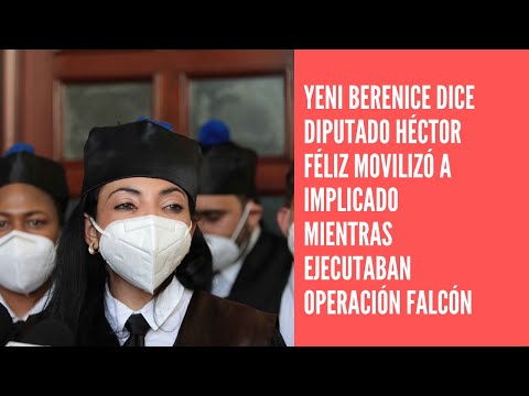 Yeni Berenice dice Diputado Héctor Féliz movilizó a implicado mientras ejecutaban operación Falcón