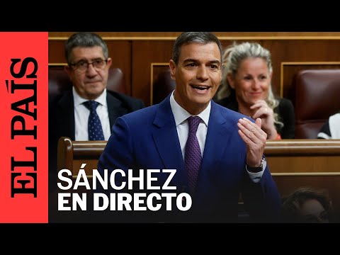 DIRECTO |  Sánchez asiste a la sesión de control en el Congreso de los Diputados | EL PAÍS