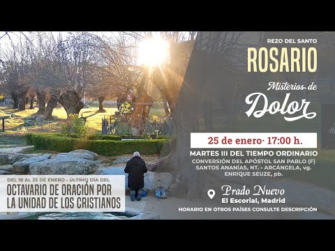 Rezo del SANTO ROSARIO de hoy Martes 25 de Enero a las 17:00 h. en DIRECTO desde PRADO NUEVO