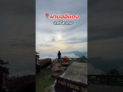 Tinn  Travel เที่ยวผามออีแดงจ.ศรีสะเกษ🌥️🌥️ผามออีแดงทะเลหมอกศรีสะเกษ