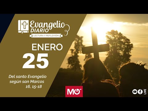 Lectura y reflexión | 25 de enero 2024 | Del santo Evangelio según san Marcos 16, 15-18