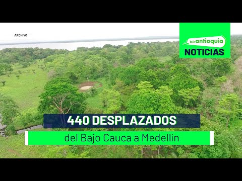 440 desplazados del Bajo Cauca a Medellín - Teleantioquia Noticias