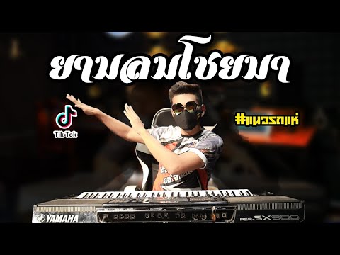 วอนลมฝากรัก(ยามลมโชยมา)🔥แนวรถ วอนลมฝากรัก(ยามลมโชยมา)🔥แนวรถ