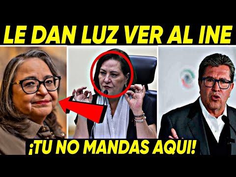 DAN LUZ VERDE ¡PIÑA TU NO MANDAS EN EL INE! GRAN VICTORIA DEL PUEBLO ANTE EL PRIAN