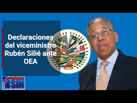 Declaraciones del viceministro Rubén Silié ante OEA