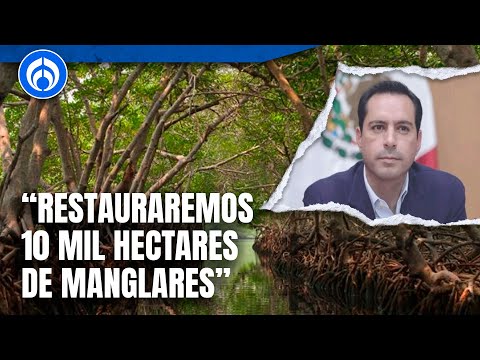 Mauricio Vila reafirmó el compromiso de Yucatán de conservar manglares