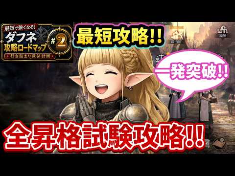 レベル上限を解放する全昇格試験を完全攻略【攻略ロードマップ #2】【ウィズダフネ】 #ウィズダフネ