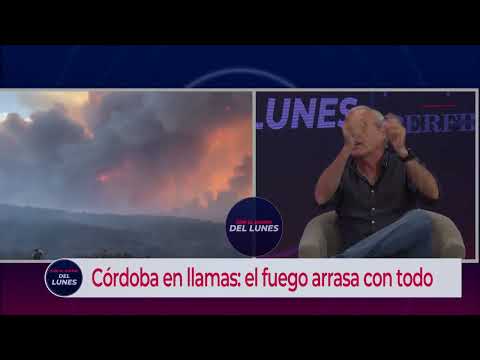 Santiago Reyna - Dr. en Ingeniería y Prof. Plenario Ing. Ambiental UNC, en Con el diario del lunes