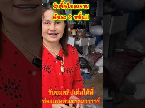 รับซื้อใบมะขามตันละ20,000บาท