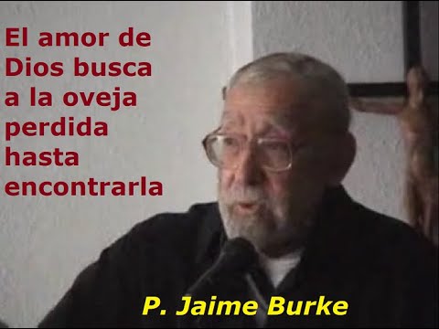 El amor de Dios busca a la oveja perdida hasta encontrarla / Por P. Jaime Burke O.P.