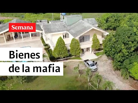 Los lujosos bienes de la mafia, el dueño sería alias Fritanga | Semana Noticias