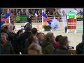 障碍赛矮种马 provinciale kampioen jumping