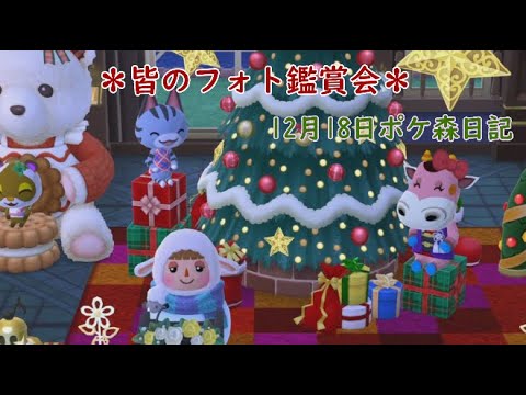 【ポケ森日記】6年12月18日🎄みんなのフォト鑑賞会！ #ポケ森 #どうぶつの森