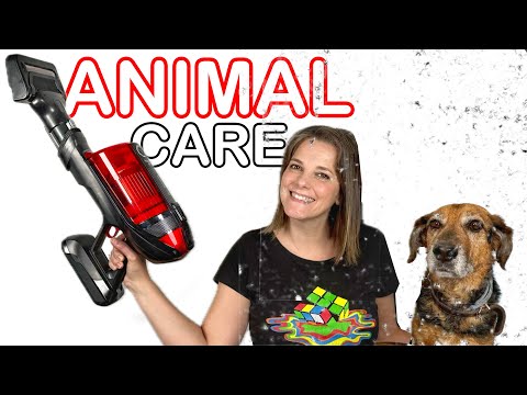 NO MÁS PELOS de mascotas en casa Rowenta X-Force Flex 12.60 Animal Care
