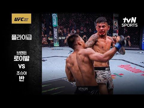 [UFC] 브랜든 로이발 vs 조슈아 반