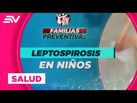 Leptospirosis en niños | En Contacto | Ecuavisa