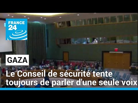Gaza : le Conseil de sécurité tente toujours de parler d'une seule voix • FRANCE 24