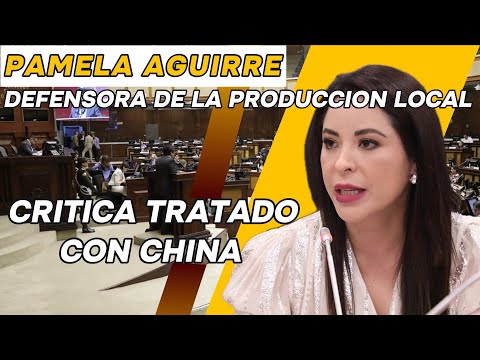 Pamela Aguirre: Defensora de la producción local critica Tratado con China