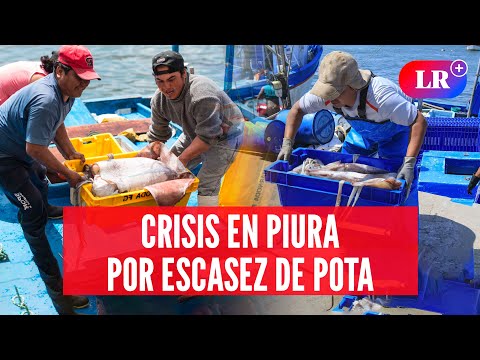 PIURA: precio de la POTA sube y pescadores artesanales acusan a BARCOS CHINOS ILEGALES