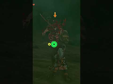 【ティアキン】ハイラル城地底のライネル　ゼルダの伝説ティアーズオブ ザキングダムNintendo Switch 2 Edition #ティアキン #shorts