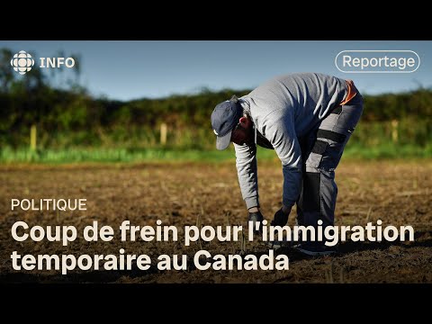 Travailleurs temporaires : le Canada resserre les critères du programme de traitement simplifié