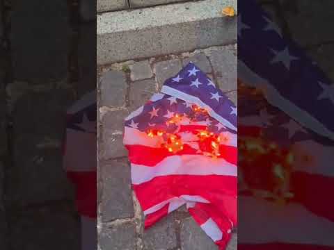Manifestantes pro-Hamás vandalizan memorial de la WW1 en Central Park y quemaron una bandera de EEUU