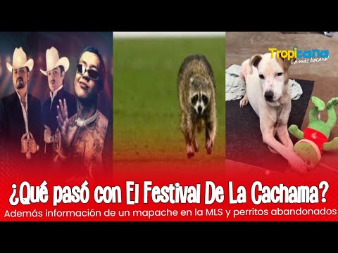 ¿Qué pasó con el Festival de La Cachama?.