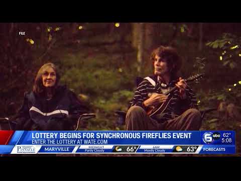 Lottery begins for synchronous fireflies event