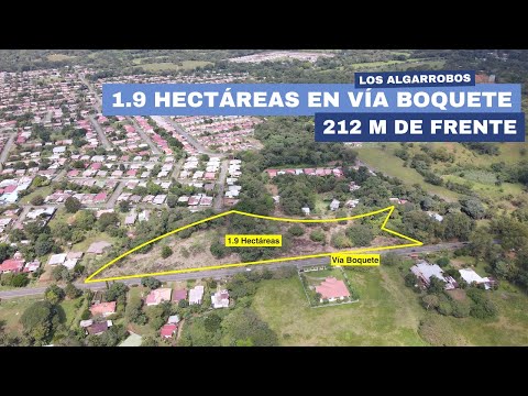 1.9 HA sobre la Vía Boquete – Lote Comercial en Los Algarrobos – Oportunidad de Inversión. 6981.5000