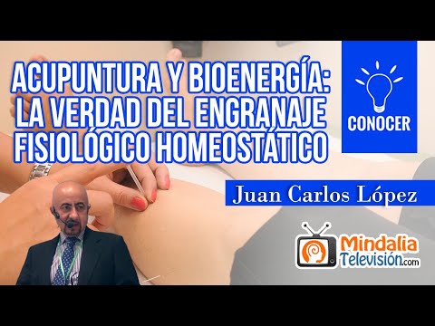 Acupuntura y Bioenergía: la verdad del engranaje fisiológico homeostático, por Juan Carlos López