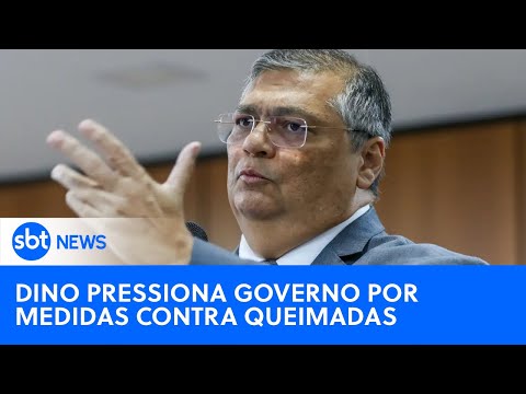 SBT News na TV: Dino cobra respostas do governo sobre queimadas