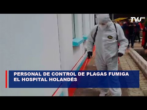 Ante quejas por  infestación de hormigas, personal de control de plagas fumiga el Hospital Holandés