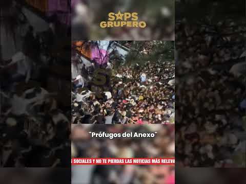 Casos total en el concierto de Alfredo Olivas y Julión Álvarez #viral #noticias #regionalmexicano