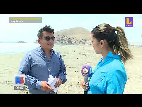 Un año después del derrame de petróleo de Repsol en playas del litoral
