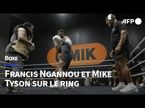 Boxe: association poids lourds entre Francis Ngannou et Mike Tyson | AFP