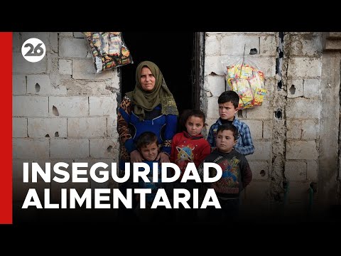 MEDIO ORIENTE | Casi 13 millones de sirios enfrentan inseguridad alimentaria