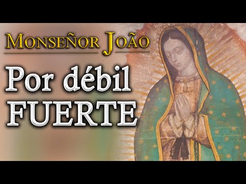 NUESTRA SEÑORA DE GUADALUPE- Mons. João