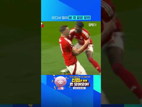 데자뷔 