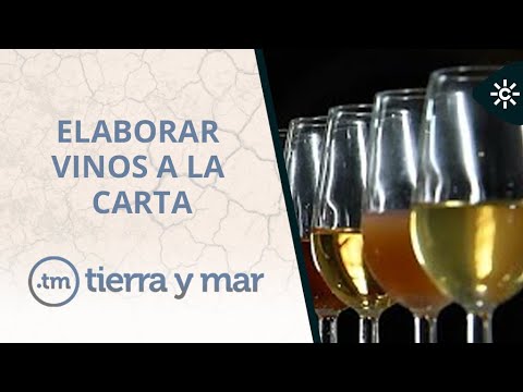 Tierra y mar | Las investigaciones en el cultivo de la vid permiten los vinos a la carta