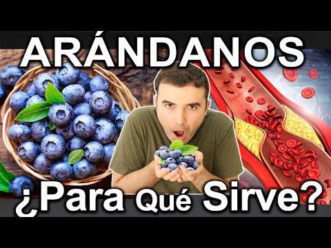 ARANDANOS - SUPERALIMENTO LLENO DE BENEFICIOS - Blueberries