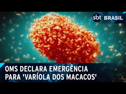 OMS declara mpox como emergência em saúde pública global | SBT Brasil (14/08/24)