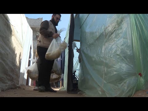 Volunteers in Rafah distribute bread to displaced Palestinians
