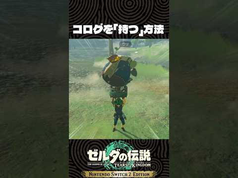 コログを「持つ」方法が分かりました!【ゼルダの伝説 ティアキン】