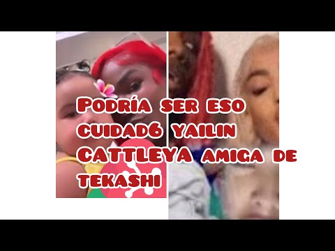 YAILIN CATTLEYA,CUIDADO, AMIGA André Toribio