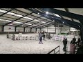 Show jumping horse Mooie 8 jarige spring merrie