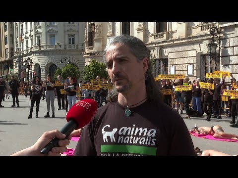 Manifestación contra la tauromaquia en festividades en València