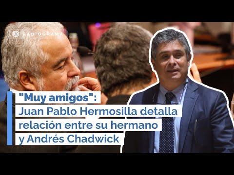 Muy amigos: Juan Pablo Hermosilla detalla relación entre su hermano y Andrés Chadwick