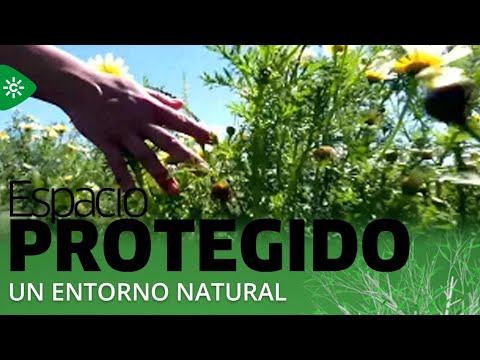 Espacio Protegido | La vuelta a lo natural de una familia andaluza