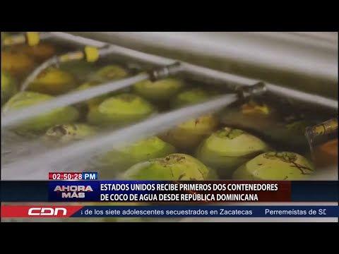 Estados Unidos reciben primeros dos contenedores de coco de agua desde República Dominicana
